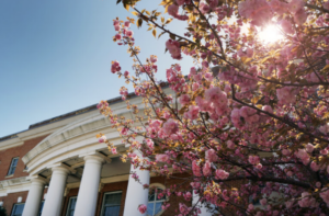 Nearly 90% of UMW graduates have secured employment, started graduate school or decided to serve in the military, AmeriCorps or the Peace Corps within six months of graduation.